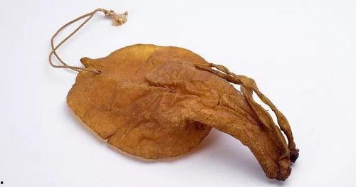 正宗金钱鳘图片,珍稀海味，奢华美食的典范