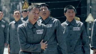 出卖 在线观看,揭秘“出卖”背后的故事与真相