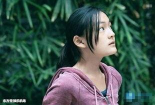 文琪图片,探寻东方美学的独特魅力