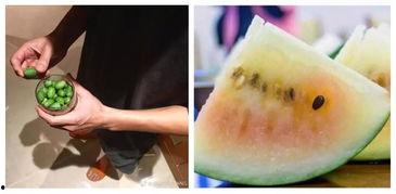 讲吃瓜爆料,吃瓜爆料背后的真相与内幕