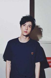 薛之谦 日本,音乐与文化的交融之旅