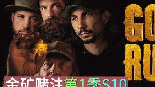 大淘金在线观看