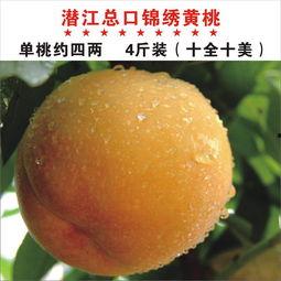 黄桃图片大全,缤纷色彩下的甜蜜诱惑