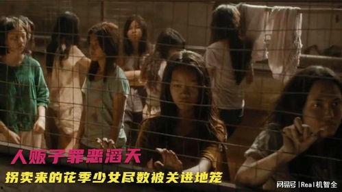人皮交易在线观看,惊悚悬疑，揭开黑暗交易背后的惊世秘密
