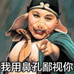 猪八戒搞笑图片大全,趣味横生的奇幻之旅