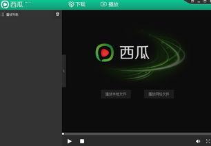 色 西瓜影音在线观看,色彩斑斓的西瓜世界，尽享视觉盛宴