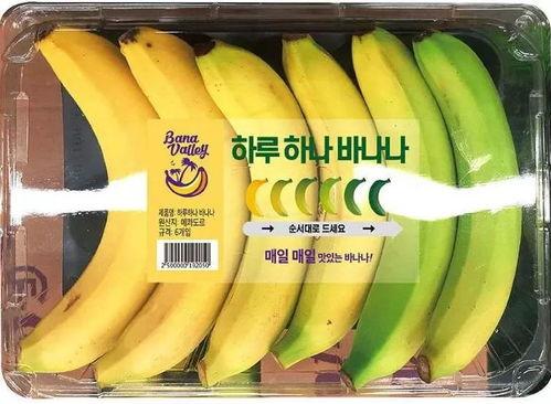 韩国人 香蕉,传统与现代的交融