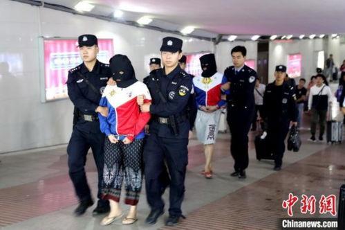 成人视频网站视频,内容解析与行业洞察