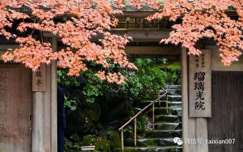 日本名琉璃,探寻日本名琉璃的千年魅力与传承