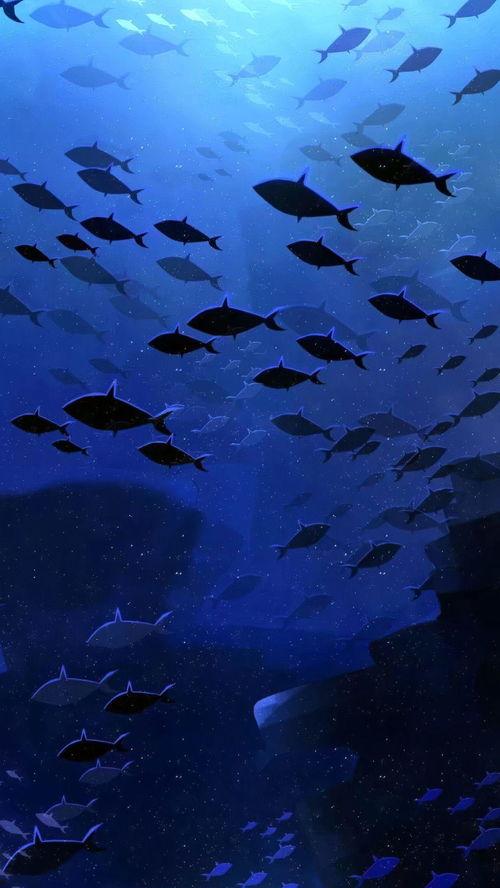 深海的图片,神秘海底世界全景图揭秘