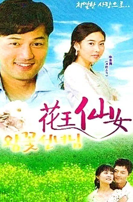 国语韩剧花王仙女,穿越时空的仙子传奇