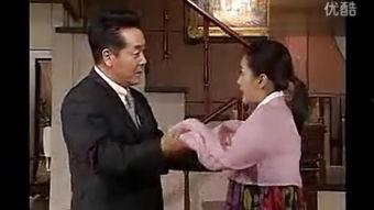 国语韩剧花王仙女,穿越时空的仙子传奇