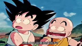 七龙珠tv国语版,悟空的冒险之旅，热血激战与友情的力量