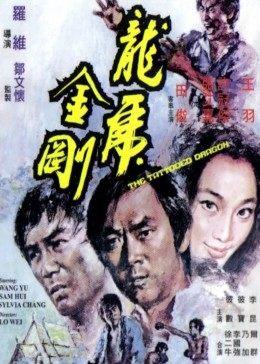 龙虎金刚国语,热血激战，勇闯江湖