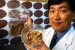 日本屎宴现场,一场颠覆味蕾的感官盛宴