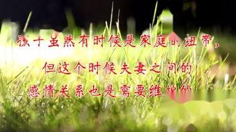 如饥似渴在线观看,探索无尽求知之旅
