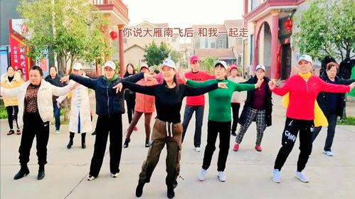 动感广场舞视频大全集,舞动人生，乐享健康