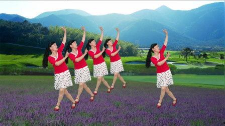 动感广场舞视频大全集,舞动人生，乐享健康