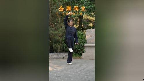 金鸡独立视频,挑战身体极限的平衡艺术