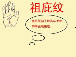 算命图片大全,探寻命运奥秘的视觉之旅