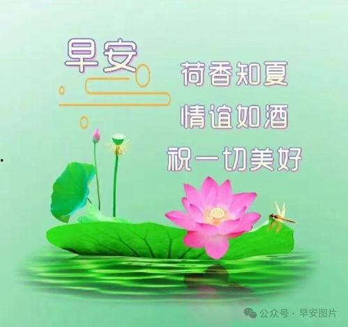 早安风景图片大全唯美,早安风景唯美图鉴