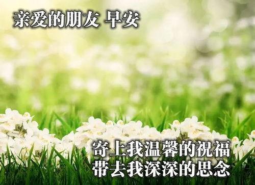 早安风景图片大全唯美,早安风景唯美图鉴