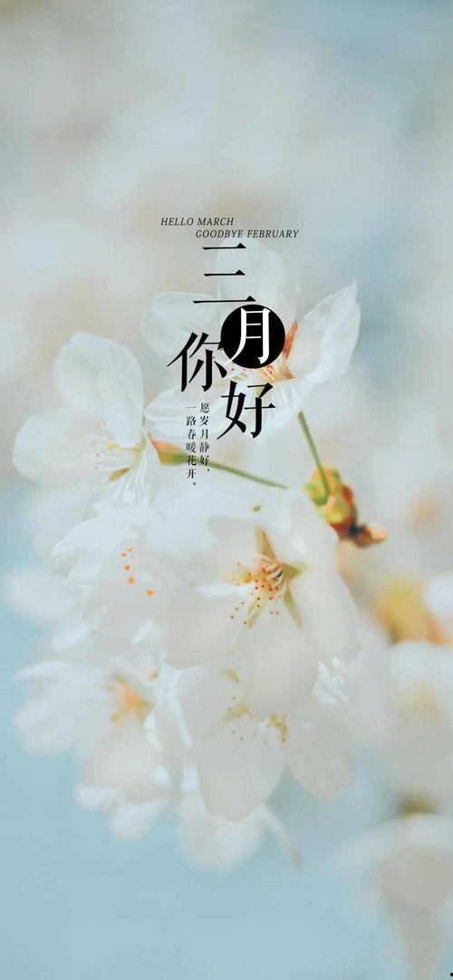 三月图片,万物复苏