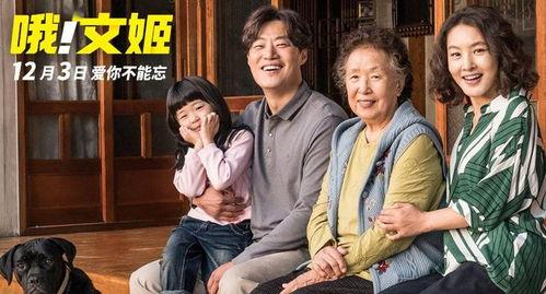 韩国电影《回归》,揭开真相的悬疑之旅