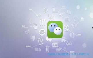 微信那点事在线观看,在线观看背后的精彩瞬间