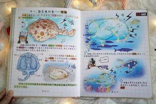 科普绘画图片大全,绘画图片大全中的科学奥秘