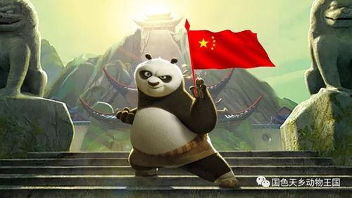 功夫熊猫动画片全集国语版,笑傲江湖，熊猫传奇