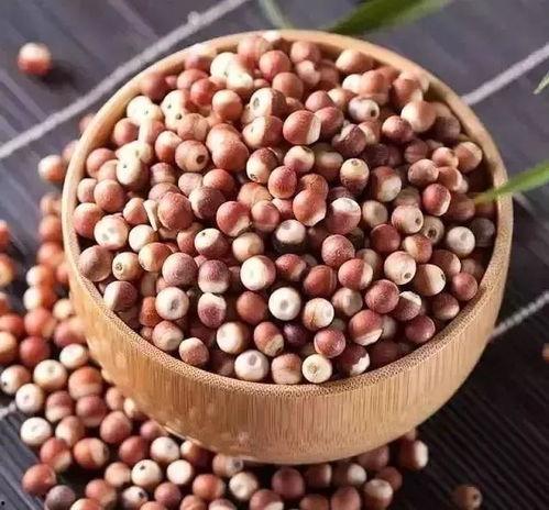 脐茸图片,揭秘新生儿常见皮肤病变的形态与特征