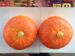 南瓜红瓜价格今日最新行情