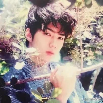 韩国男明星全部照片,光影流转中的魅力瞬间