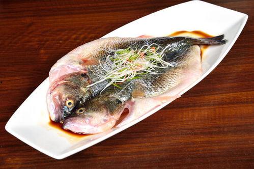 鲈鱼图片