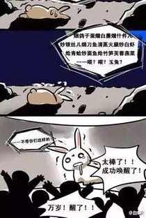 玉兔视频,探索科技与生活的无限可能