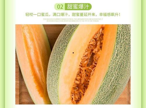 海南省今日哈密瓜价格,品质佳受热捧