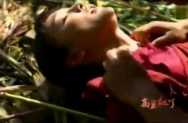 野 外床戏,一场禁忌的浪漫邂逅