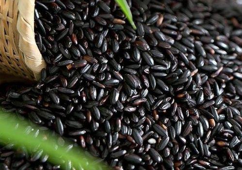 黑麻瓜可以吃吗有毒吗图片,有毒与否的真相揭晓