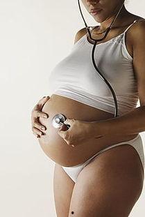 女殖器的图片大全,生理结构与功能一览