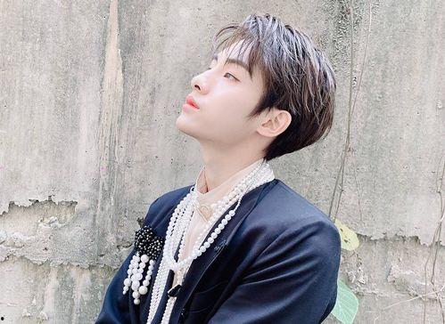 董思成日本,跨越国界的魅力与影响力