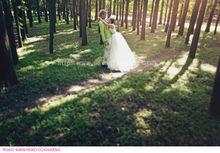 上海森林公园图片,自然与都市的和谐交融