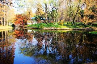 上海森林公园图片,自然与都市的和谐交融