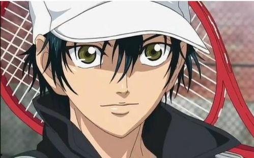 网球王子新ova国语,青春热血再燃，网球巅峰对决