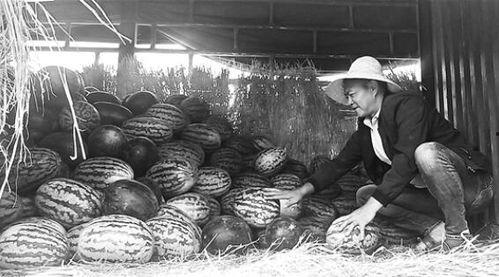 泗水吃瓜群众爆料后续事件,真相大白，事件再掀波澜