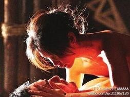 此鸟床戏,一场自然与艺术的和谐交响