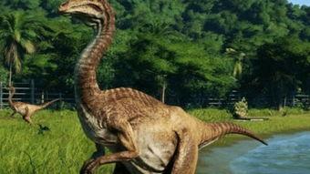 大章鱼视频,深海奇观背后的奥秘