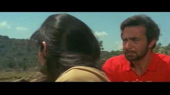 鳄鱼电影大全国语版,惊险刺激的动物世界冒险之旅