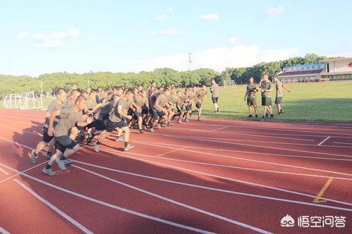 部队跑步视频,严谨纪律下的钢铁意志展现