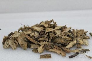 千年健图片,古老植物的神奇功效与传说